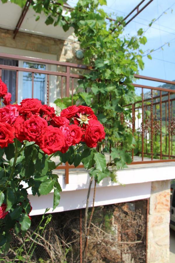 Apartmani Ivankovic Vrisnik Exterior foto