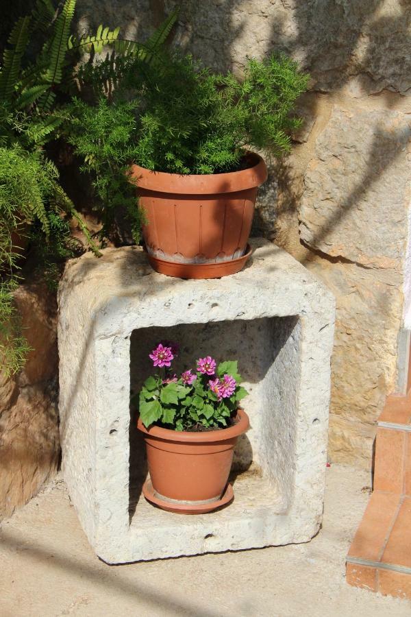 Apartmani Ivankovic Vrisnik Exterior foto