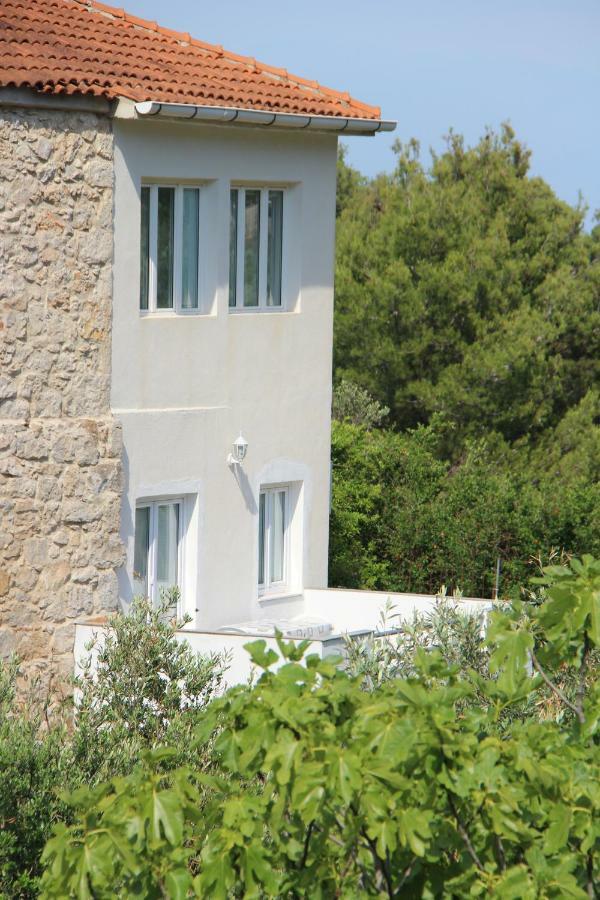Apartmani Ivankovic Vrisnik Exterior foto