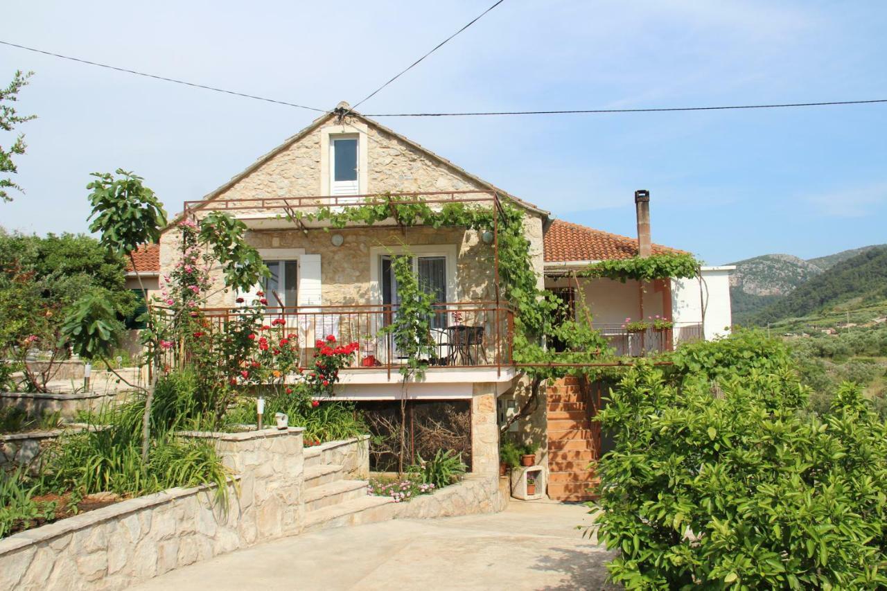 Apartmani Ivankovic Vrisnik Exterior foto